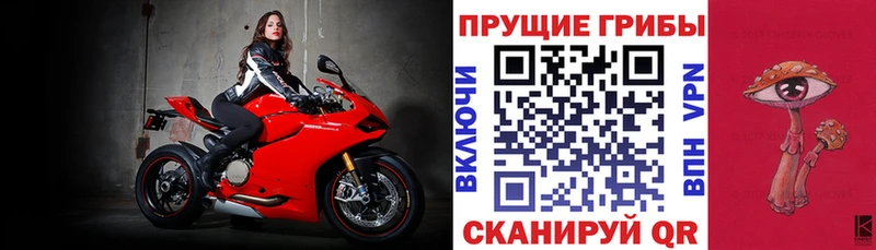 Купить Валдай Галлюциногенные грибы Psilocybine cubensis